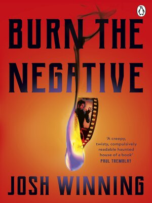 Burn the Negative - ebook